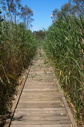 Similar image 1395781