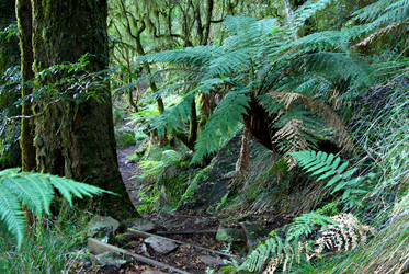 Similar image 1395782