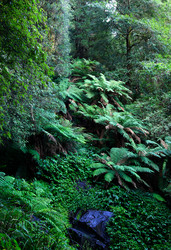 Similar image 1395797