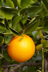 Similar image 1395814