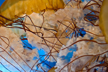 Similar image 1395836