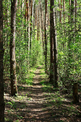 Similar image 1395902