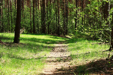 Similar image 1395903