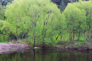 Similar image 1395921