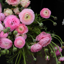 Similar image 1396288