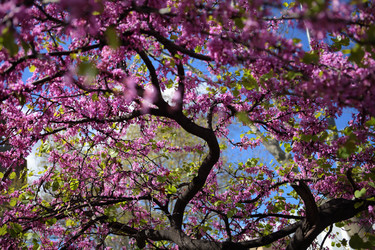 Similar image 1396397