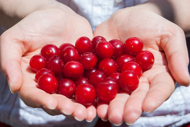 Similar image 1396398