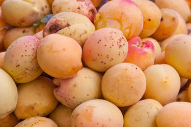 Similar image 1396399