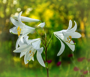 Similar image 1396548