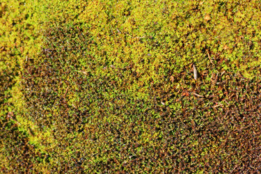 Similar image 1396551