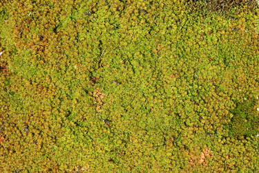 Similar image 1396552