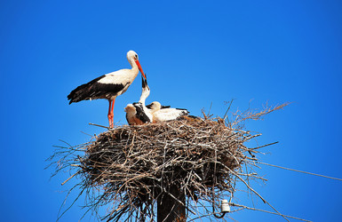 Similar image 1396567