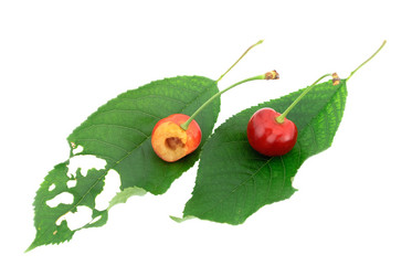 Similar image 1396574