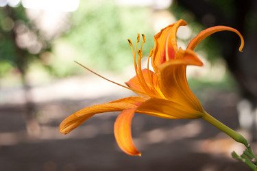 Similar image 1396580