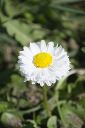 Similar image 1396595