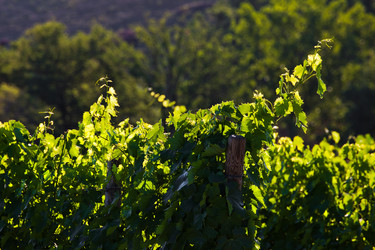 Similar image 1396608