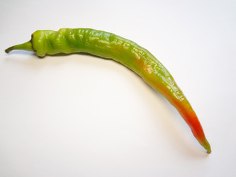 Similar image 1396610