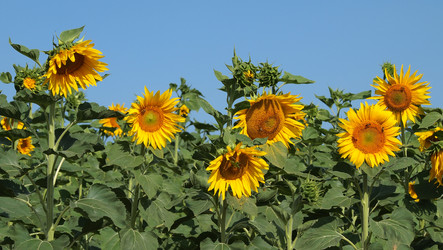 Similar image 1396627