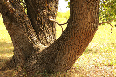 Similar image 1396628