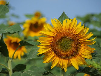 Similar image 1396630