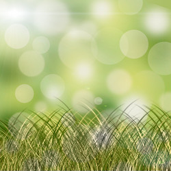 Similar image 1396646