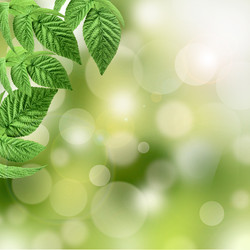 Similar image 1396650