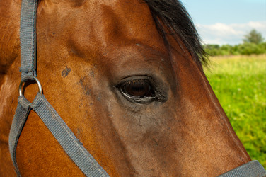 Similar image 1396662