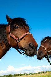 Similar image 1396663