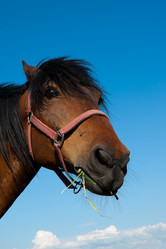 Similar image 1396665