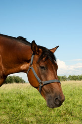 Similar image 1396666