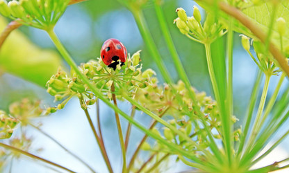 Similar image 1396701