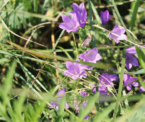 Similar image 1396718