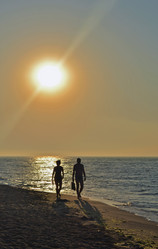 Similar image 1396725