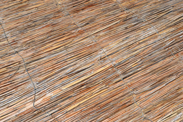 Similar image 1396727