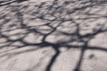 Similar image 1396827