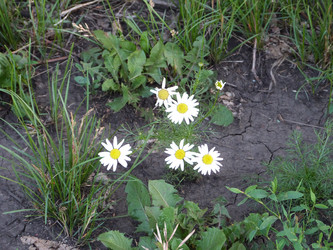 Similar image 1396832