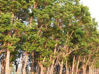 Similar image 1396833