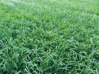 Similar image 1396834