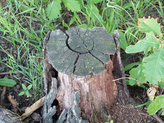 Similar image 1396836