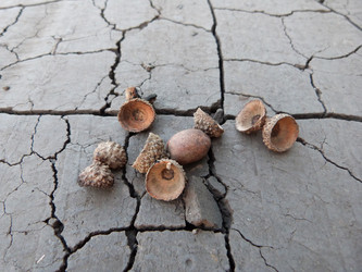 Similar image 1396838