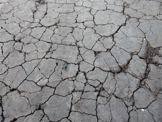 Similar image 1396839