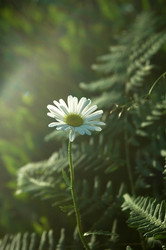 Similar image 1396857