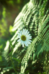 Similar image 1396858