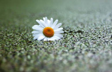 Similar image 1396859