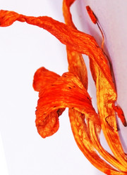 Similar image 1396862