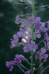 Similar image 1396865