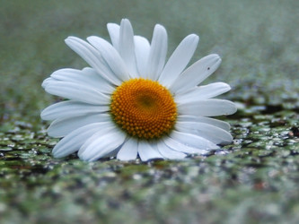 Similar image 1396866