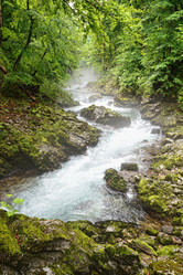 Similar image 1396892