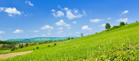 Similar image 1396899