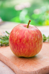 Similar image 1396970